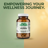 Pat's Herbals Valerian Root Capsules | 180 Vegan Capsules | Premium Valerian Root Supplement | Non-GMO | Gluten-Free | Made in USA | Amber Glass Bottle