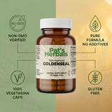 Pat's Herbals Goldenseal Root Capsules | 60 Vegan Capsules | Organic Goldenseal Root Supplement | Non-GMO | Gluten-Free | Made in USA | Amber Glass Bottle