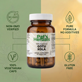 Pat's Herbals Gotu Kola Capsules | 90 Vegan Capsules | Organic Gotu Kola Herb Supplement | Non-GMO | Gluten-Free | Made in USA | Amber Glass Bottle