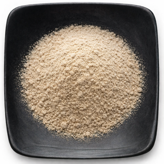 Bulk Dong Quai Powder | Organic & Wildcrafted | Wholesale