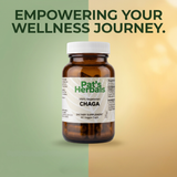 Pat's Herbals Chaga Mushroom Capsules | 60 Vegan Capsules | Premium Chaga Mushroom Supplement | Non-GMO | Gluten-Free | Made in USA | Amber Glass Bottle