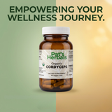 Pat's Herbals Cordyceps Mushroom Capsules 60 Count | Vegan Mushroom Supplement | Non-GMO | Gluten-Free | Premium Quality | Made in USA | Amber Glass Bottle