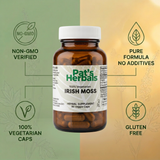 Pat's Herbals Irish Sea Moss Capsules | 90 Vegan Capsules | Organic Sea Moss Supplement | Non-GMO | Gluten-Free | Made in USA | Amber Glass Bottle
