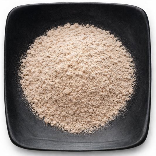 Bulk Agaricus Mushroom Powder | Organic & Wildcrafted | Wholesale