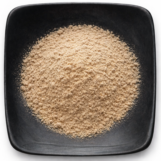 Bulk Angelica Root Powder | Organic & Wildcrafted | Wholesale