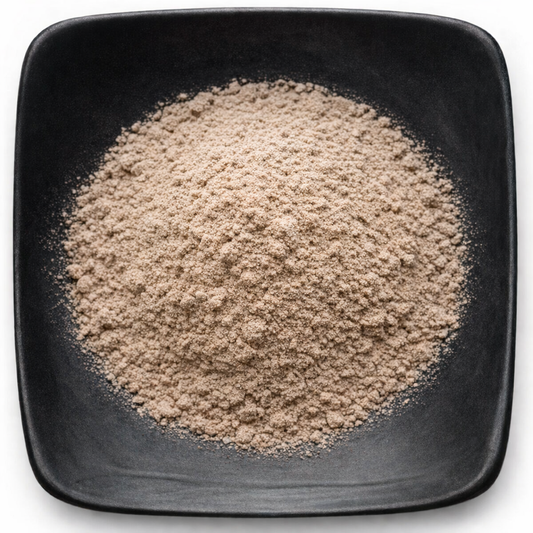 Bulk Burdock Root Powder | Organic & Wildcrafted | Wholesale