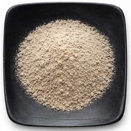 Saw Palmetto Powder | Organic & Wildcrafted | Wholesale